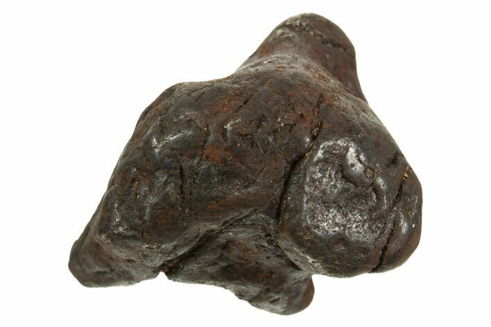Canyon Diablo Iron Meteorite ( g) - Arizona #335952